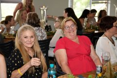 Medfem_Xmas_Lunch_2023-040
